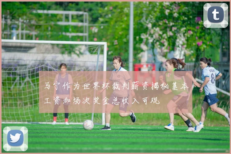 马宁作为世界杯裁判薪资揭秘基本工资加场次奖金总收入可观