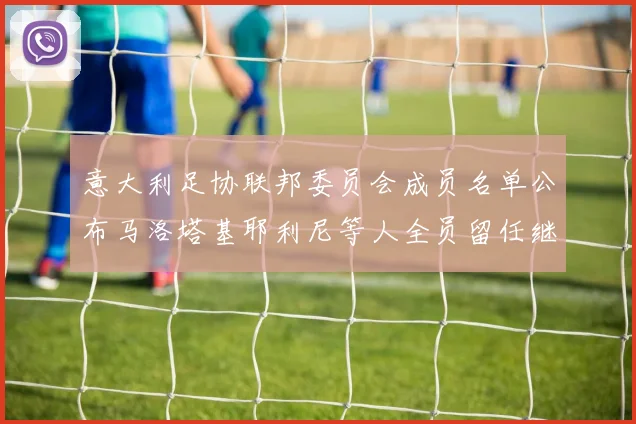 意大利足协联邦委员会成员名单公布马洛塔基耶利尼等人全员留任继续服务