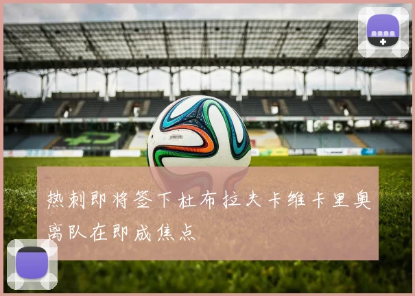 热刺即将签下杜布拉夫卡维卡里奥离队在即成焦点
